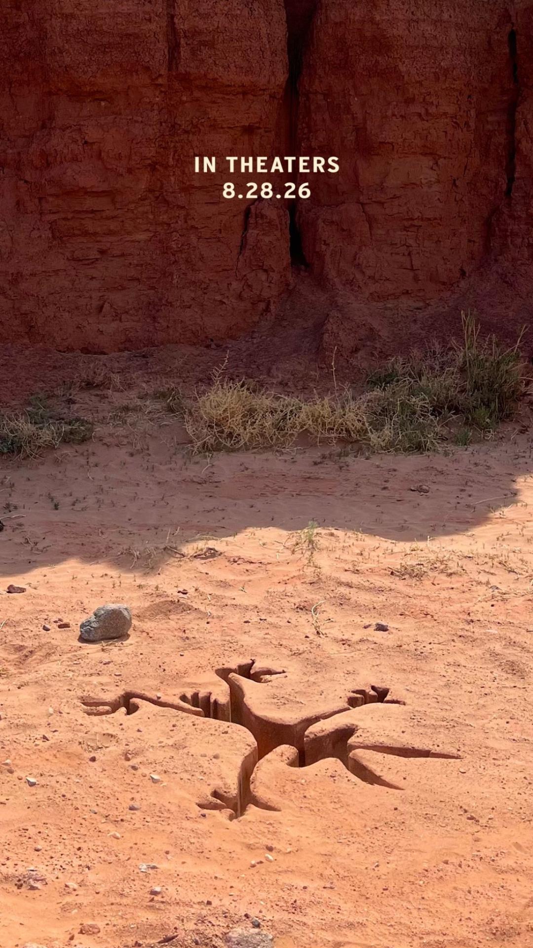 Гибридный фильм "Coyote vs. ACME" обзавёлся датой премьеры